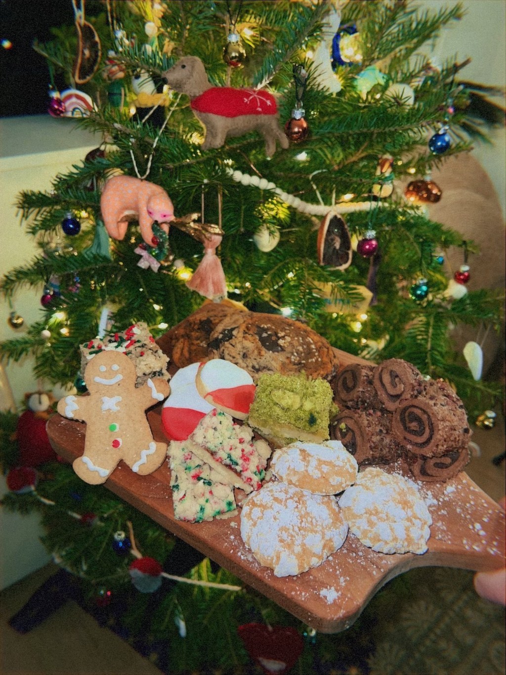 christmas cookie box&nbsp;2024