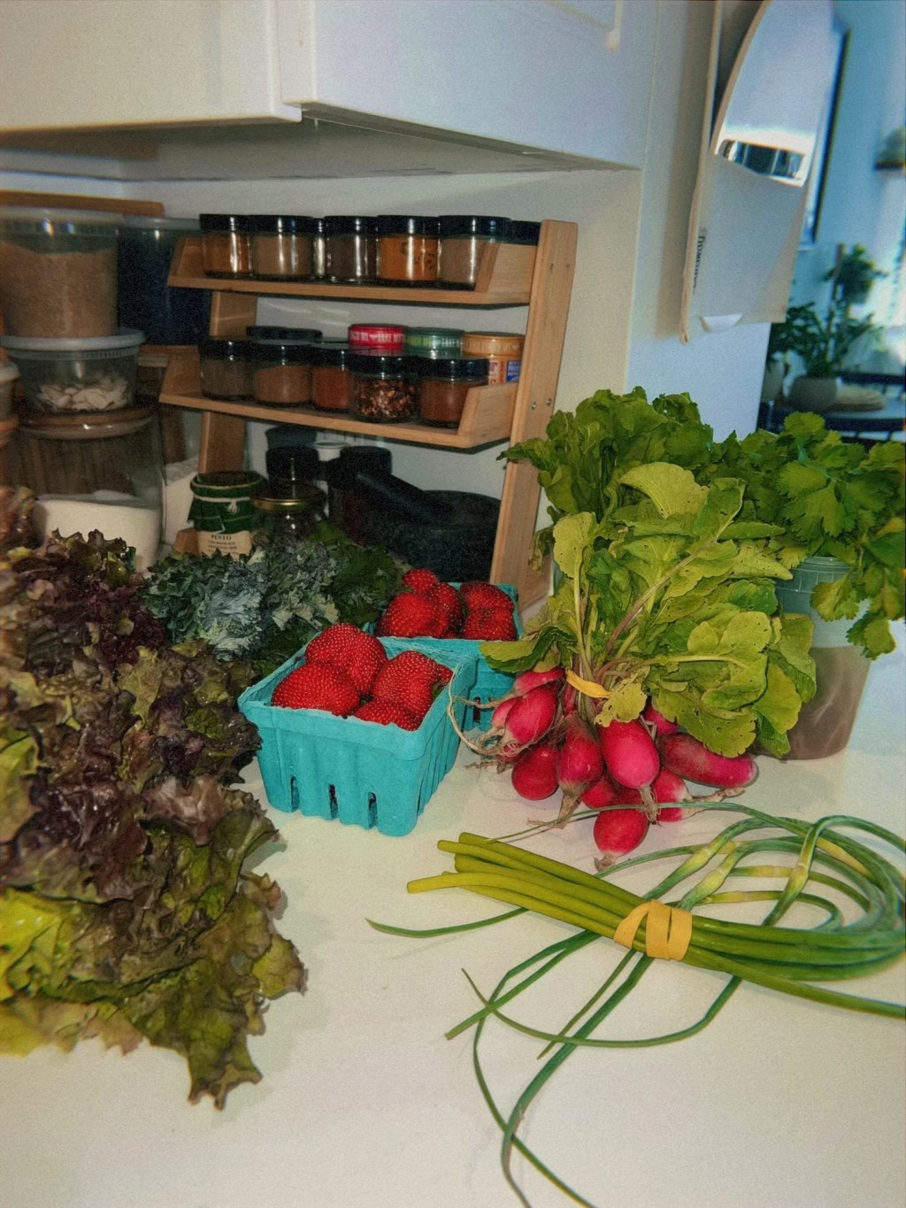 savor tooth CSA week 1: pesto, pesto,&nbsp;pesto