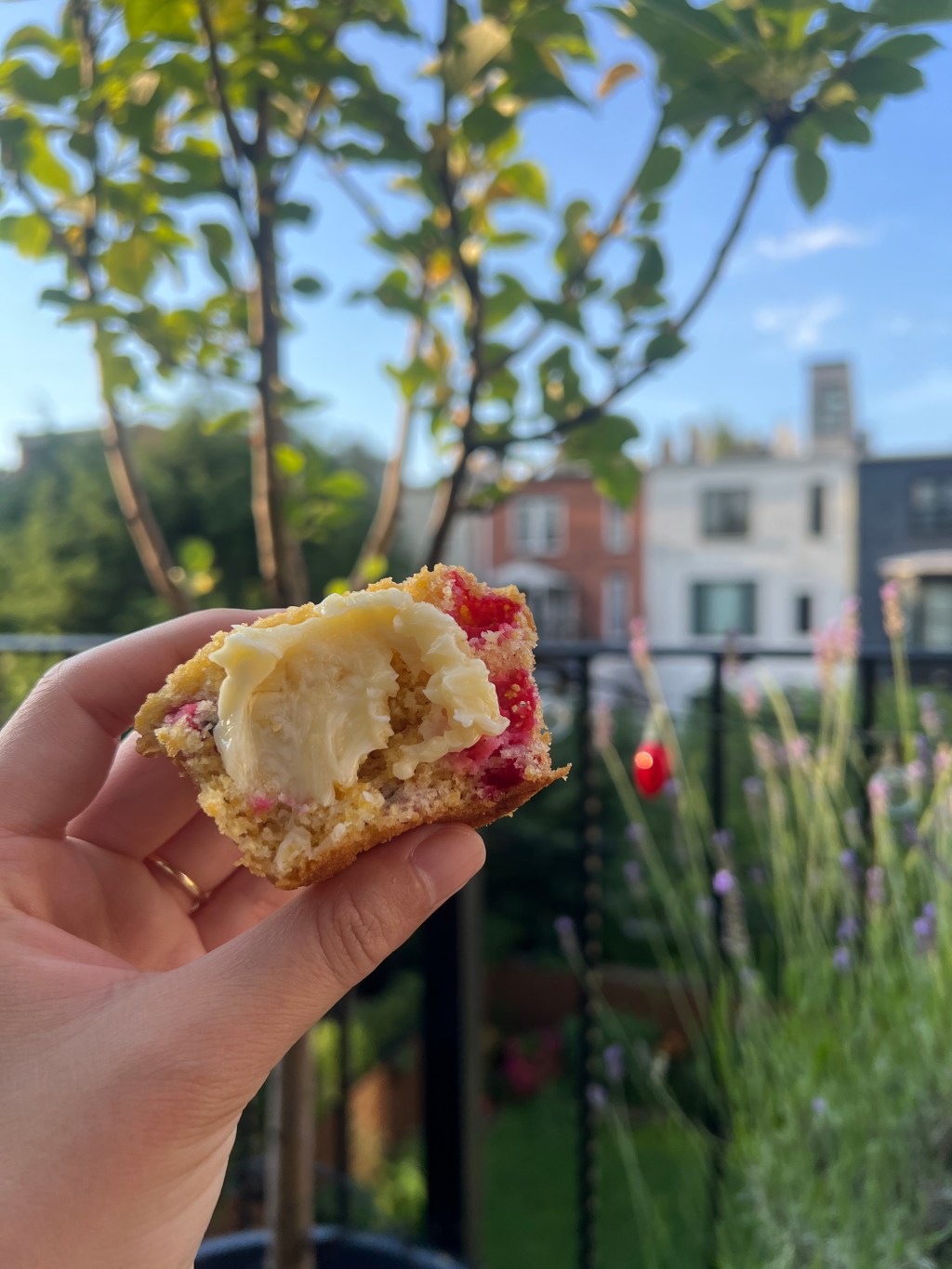 savor tooth CSA weeks 2 + 3: what’s a red&nbsp;currant?