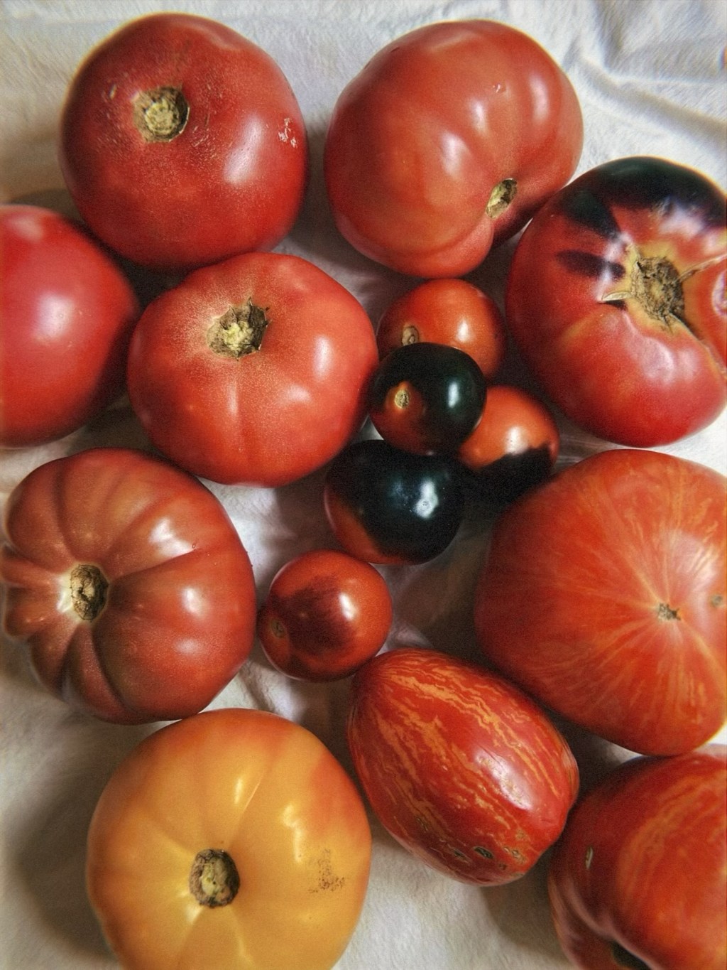 savor tooth CSA weeks 12 – 15: farewell, tomato&nbsp;season